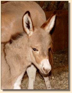 Photo  taken by Lynn Durham, my sister!